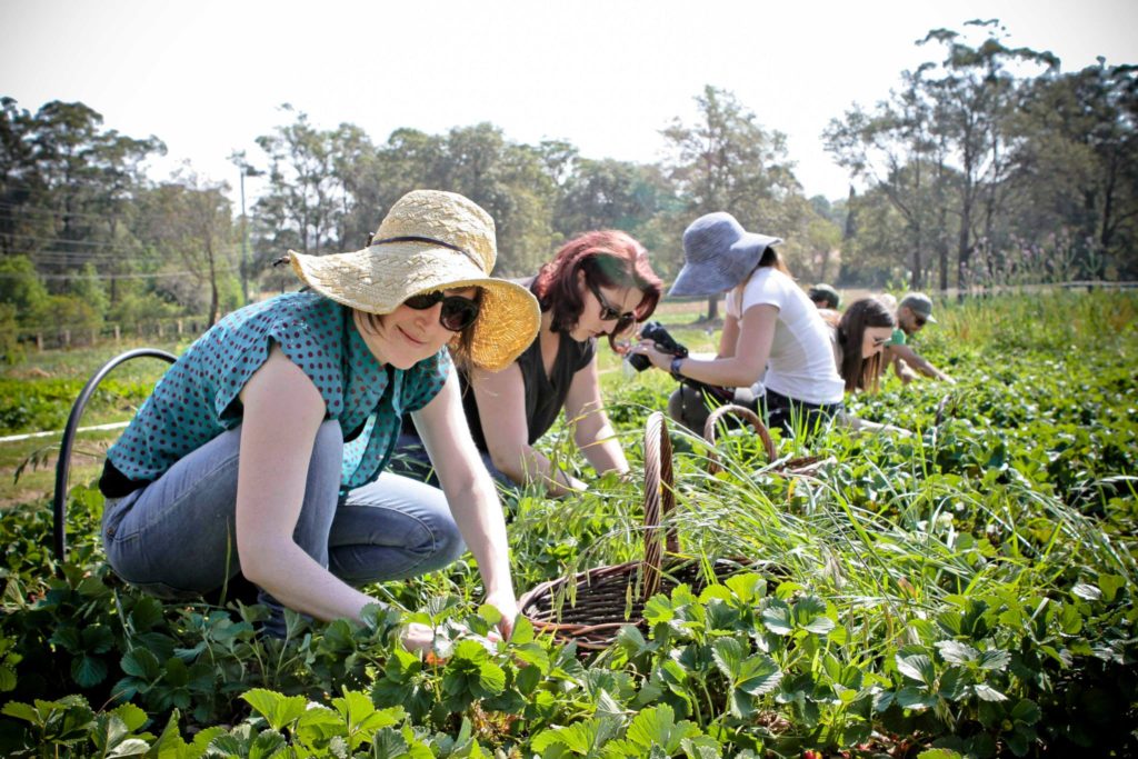 Impreuna cu un singur agricultor